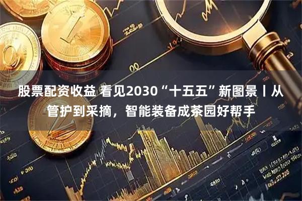 股票配资收益 看见2030“十五五”新图景丨从管护到采摘，智能装备成茶园好帮手